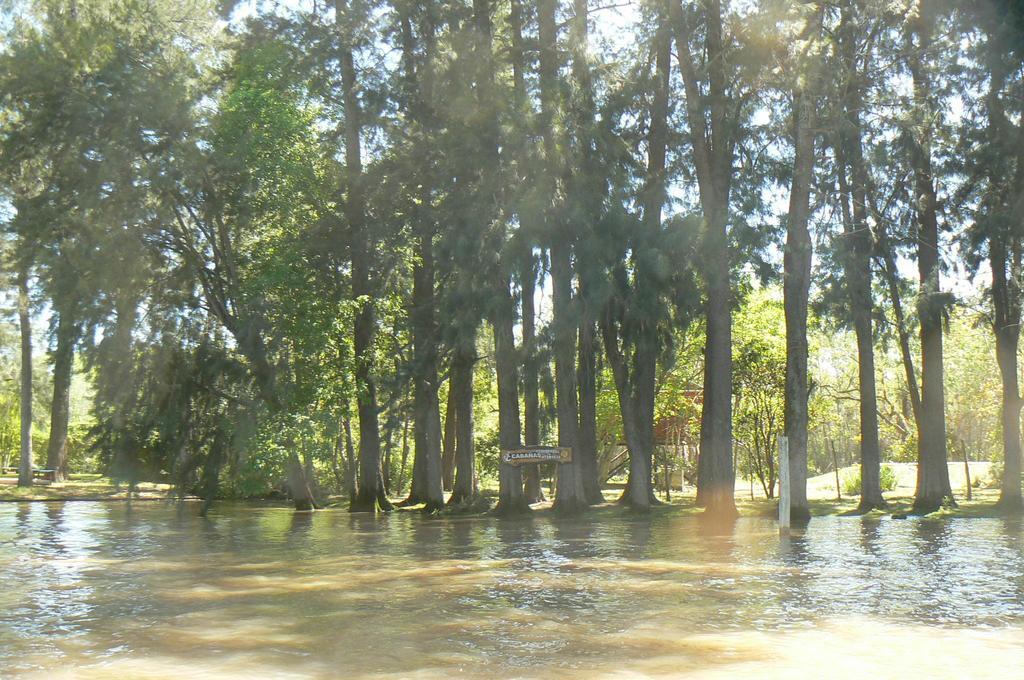 Posada Barlovento Tigre Oda fotoğraf
