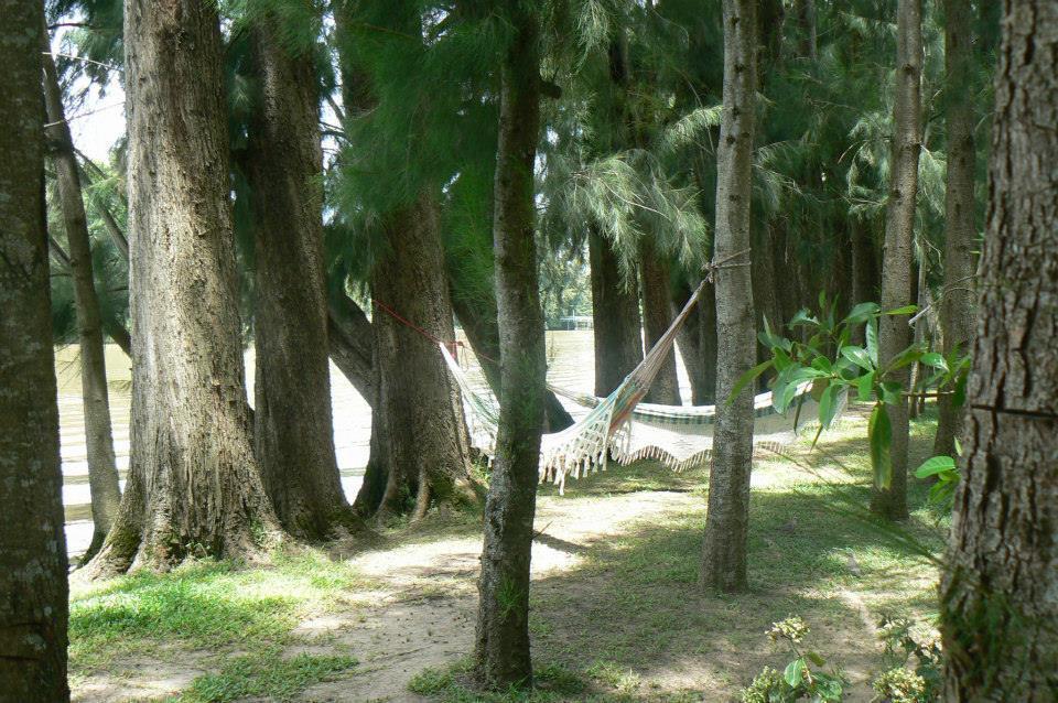 Posada Barlovento Tigre Oda fotoğraf